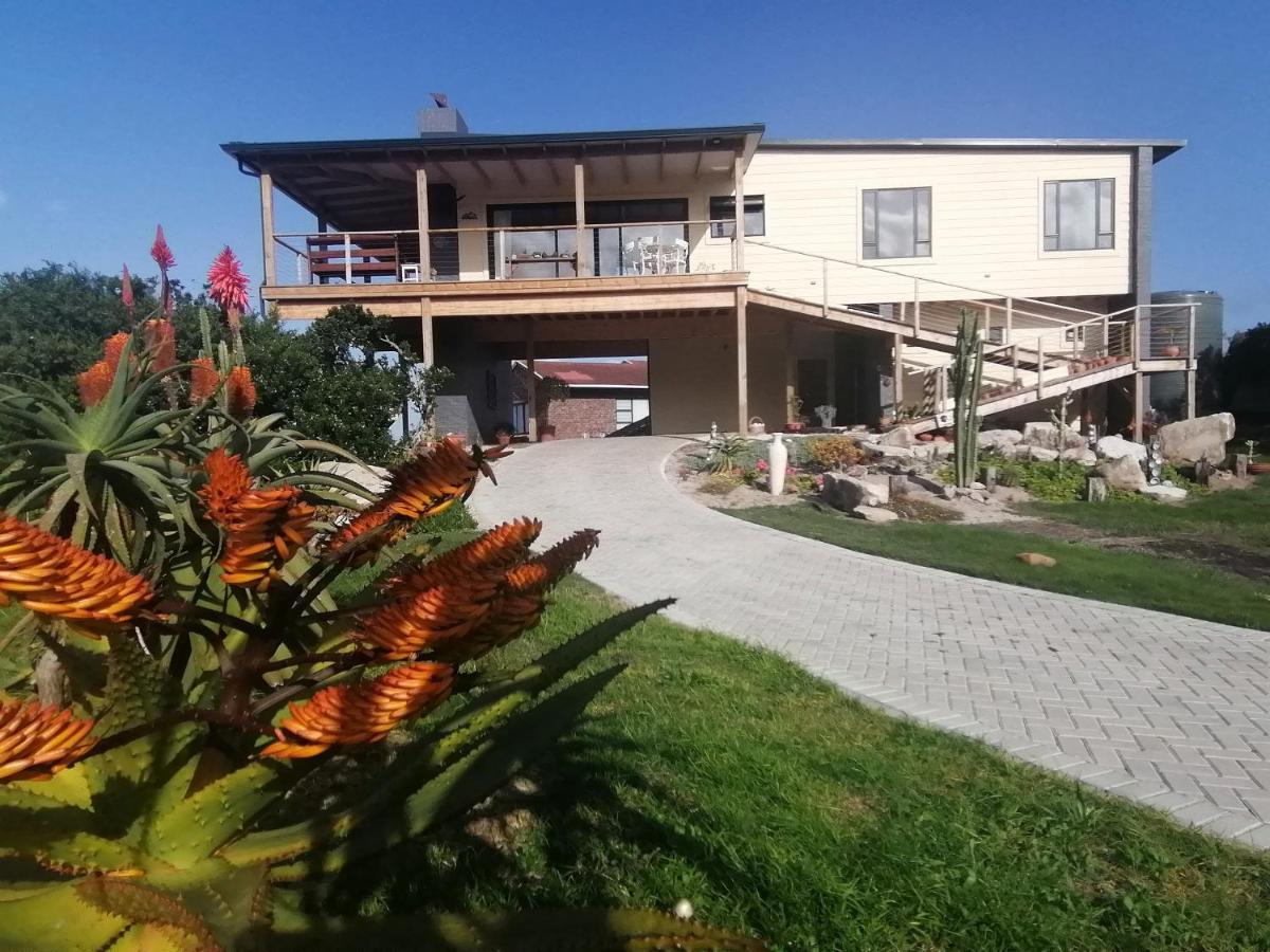 A Real Gem In Cape St Francis Vila Cape St. Francis Exterior foto